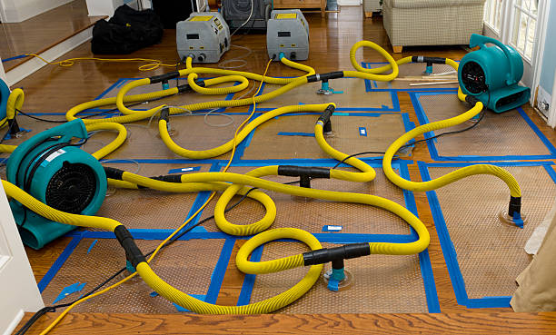 Professional Water Damage Repair technician working in Vale, NC